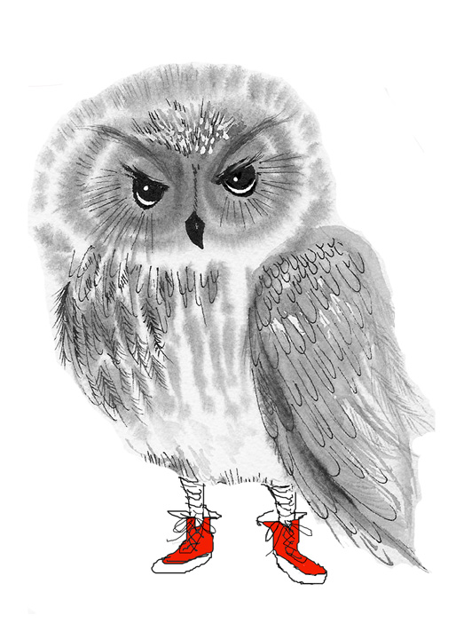 Owl with Red Tennis Shoes