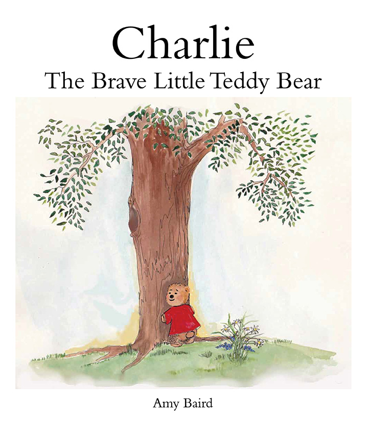 Charlie the Brave Teddy Bear