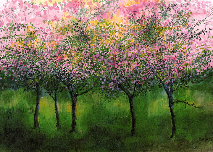 Crabapple orchard